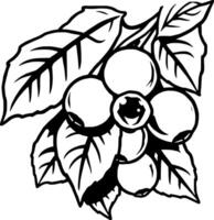 Cluster Of Coffee Beans On Branch With Lush Leaves vector