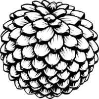 Detailed Ink Drawing Of A Symmetrical Pine Cone Isolated On White Background vector