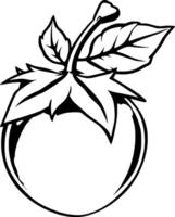 Shiny Orb with Attached Leaves A Monochrome Botanical Illustration vector