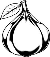 Monochrome Illustration Of A Single Ripe Fig With Leaf vector