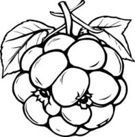 Line Art Drawing Of A Cluster Of Cloudberries With Leaves vector