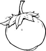 Line Drawing Of A Single Tomato With Stem And Leaves vector
