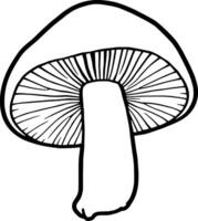 Simple Line Drawing Of A Single Mushroom Botanical Illustration vector