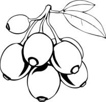 Cluster of Ripe Red Berries on a Branch with Leaves vector