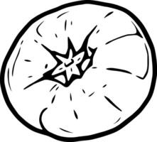 A Simple Line Drawing Of A Halved Tomato Showing Seeds And Pulp vector