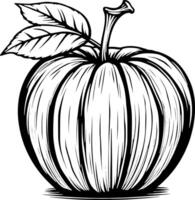Detailed Line Drawing Of A Single Apple With Leaf vector