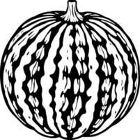 A Detailed Ink Drawing Of A Whole Watermelon Showing Its Stripes And Texture vector