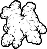 Detailed Line Drawing Of A Fresh Ginger Root Showing Its Knotted And Irregular Shape vector