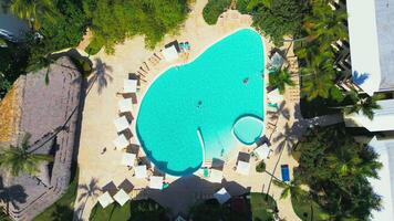Aerial top view of a tourist swimming pool located at an all-inclusive hotel video