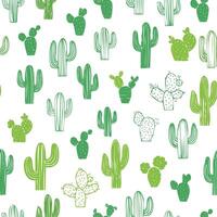 cactus pattern on white background vector