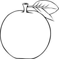 Line Drawing Of A Single Round Fruit With Leaf vector