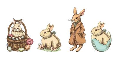 Hand drawn vintage colored sketch of easter bunnys set. A rabbit in a coat, with a bow, in a basket. vector