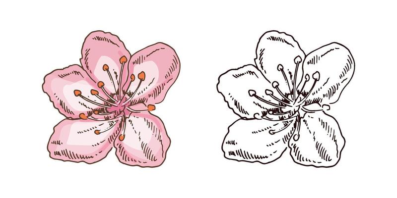 Sakuraページ HTJ-SAKURA | Deviser ｜株式会社ディバイザー｜長野県松本市の