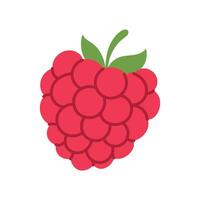 A red raspberry with a green leaf on top. The raspberry is shown in a cartoon style. The image is of a close up of a raspberry vector