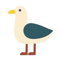 A seagull is standing on a white background vector