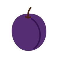 A purple plum is shown in a cartoon style. The plum is purple and has a stem. vector