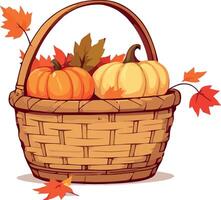 A basket with pumpkins and leaves on a white background vector
