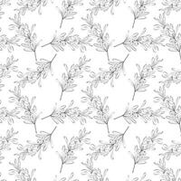 Rosemary sprig pattern, hand drawn outline drawing, branch with flowers and leaves, on white background. vector