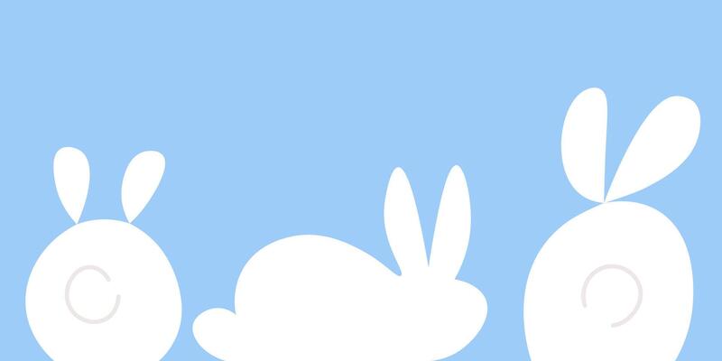 set of simple white rabbits
