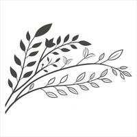 floral illustration of a branch with leaves pattern, a seamless nature design element vector