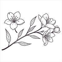 floral illustration of a spring branch with flower and leaf pattern design vector