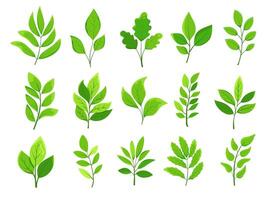 Realistic green leaves and branches on white. different types of lush foliage with veins for design, eco projects, cosmetic pakaging vector
