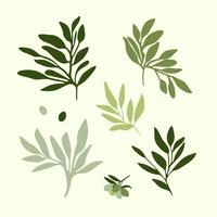 Set of olive branches on a green background. Design template clip art for wrapping, advertising olive oil, textiles and fabric. Eco-friendly and natural style. vector