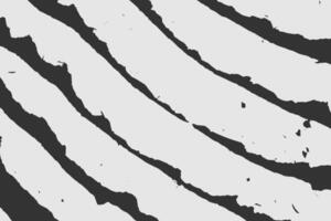 a black and white. zebra print pattern vector