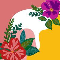 a colorful floral background with a white background vector