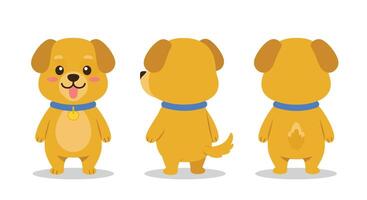 Cute cartoon dog character design in flat style showcasing multiple angles art vector