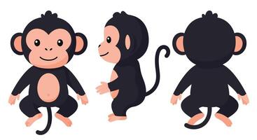 Dolphin character evolution in playful, flat design style showcasing art vector