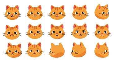 Cat expressions in various poses with flat design style art vector