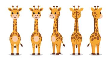 Giraffe character design in flat style showcasing multiple angles in art vector