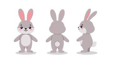 Cute bunny character in three poses with flat design style art vector