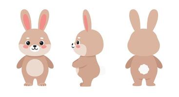 Cute bunny character shown in three angles with flat design style illustration vector