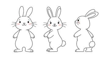 Cute bunny character design in minimal style with three poses illustration vector