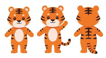 Cute cartoon tiger character design in flat style showcasing various poses art vector