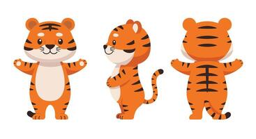 Cute tiger character design in flat style showcasing multiple perspectives art vector