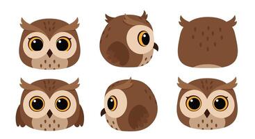 Cute owl character design in flat style showcasing multiple angles illustration vector