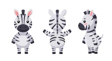 Cute zebra character design in minimal style showcasing various angles in art vector