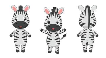 Cute zebra character design in flat style showcasing multiple angles illustration vector