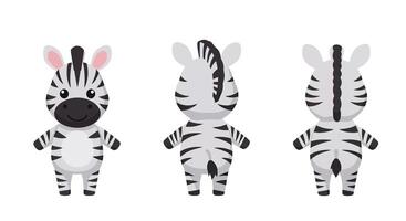 Cute zebra character design in minimal style showcasing front, side, and back views illustration vector