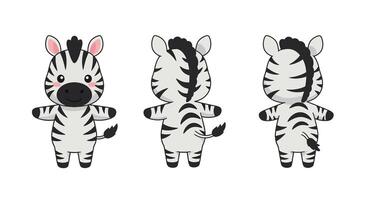 Cute cartoon zebra character in flat style with three different poses art vector