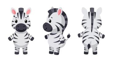 Cute cartoon zebra character design in flat style art vector