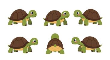 Cute turtle character design in flat style showcasing playful movements in illustration dqwd vector