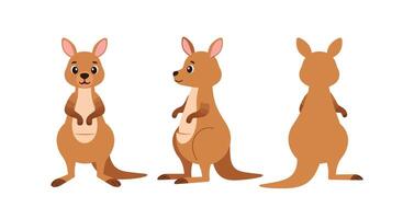 Cute kangaroo character in flat design style showcasing three different poses illustration vector