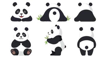 Cute panda character progression in flat illustration showcasing various poses and expressions vector