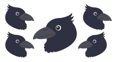 Dark bird heads in various positions with flat design style art vector