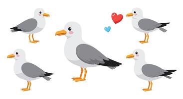 Seagulls displaying emotions in flat illustration style with colorful elements and playful expressions vector