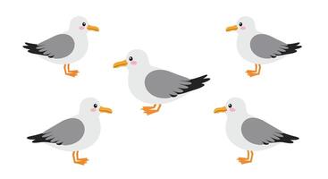 Seagulls in various poses illustrated in a flat minimal art style vector